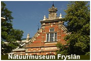 Natuurmuseum Friesland, gevestigd in monumentaal weeshuis - Deze foto kunt u vergroten