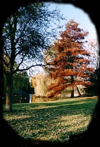 Herfst in het Julianapark